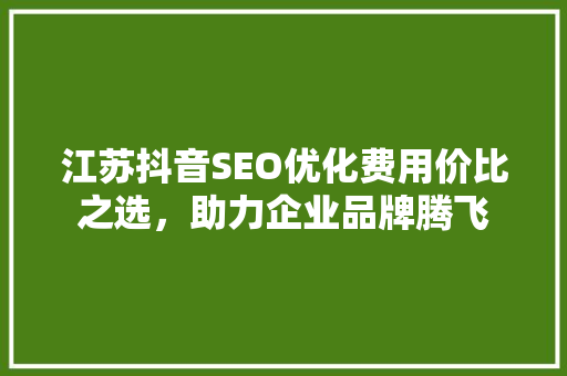 江苏抖音SEO优化费用价比之选，助力企业品牌腾飞