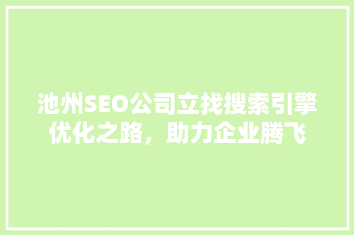 池州SEO公司立找搜索引擎优化之路，助力企业腾飞
