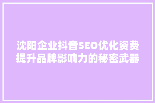 沈阳企业抖音SEO优化资费提升品牌影响力的秘密武器