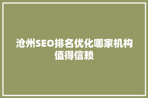 沧州SEO排名优化哪家机构值得信赖