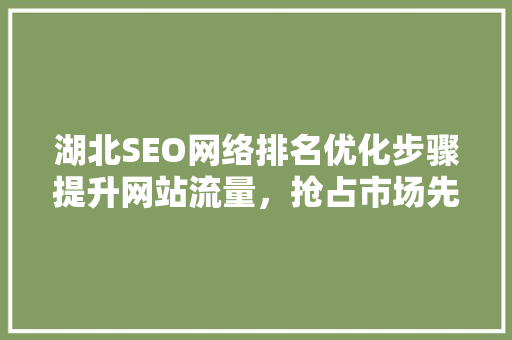 湖北SEO网络排名优化步骤提升网站流量，抢占市场先机