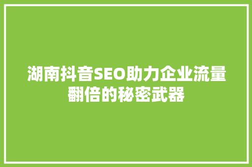 湖南抖音SEO助力企业流量翻倍的秘密武器