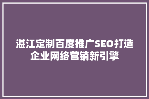 湛江定制百度推广SEO打造企业网络营销新引擎  第1张
