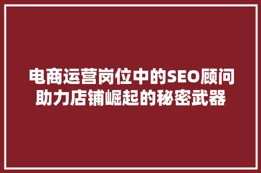 电商运营岗位中的SEO顾问助力店铺崛起的秘密武器