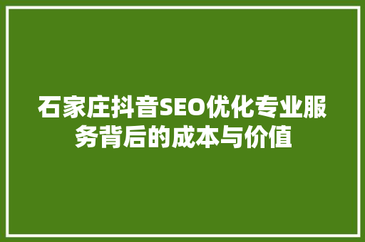 石家庄抖音SEO优化专业服务背后的成本与价值