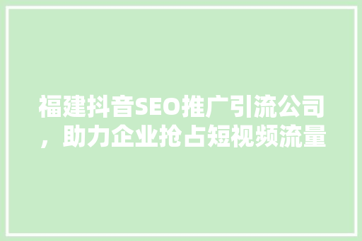 福建抖音SEO推广引流公司，助力企业抢占短视频流量高地