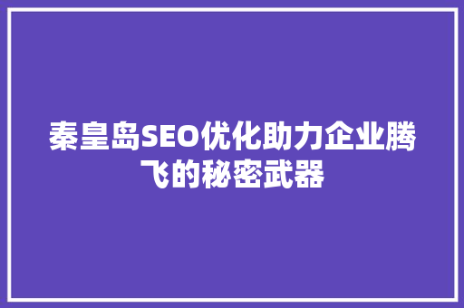 秦皇岛SEO优化助力企业腾飞的秘密武器