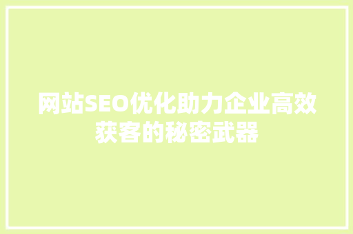 网站SEO优化助力企业高效获客的秘密武器