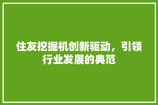 住友挖掘机创新驱动，引领行业发展的典范
