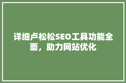 详细卢松松SEO工具功能全面，助力网站优化