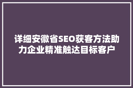 详细安徽省SEO获客方法助力企业精准触达目标客户