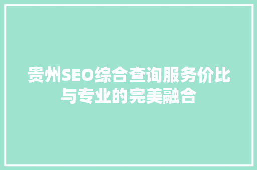 贵州SEO综合查询服务价比与专业的完美融合