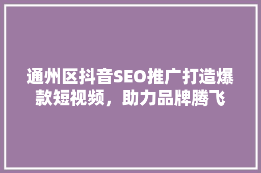 通州区抖音SEO推广打造爆款短视频，助力品牌腾飞