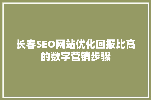 长春SEO网站优化回报比高的数字营销步骤