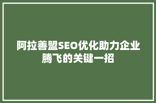 阿拉善盟SEO优化助力企业腾飞的关键一招
