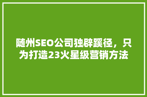 随州SEO公司独辟蹊径，只为打造23火星级营销方法