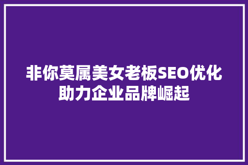 非你莫属美女老板SEO优化助力企业品牌崛起