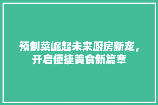 预制菜崛起未来厨房新宠，开启便捷美食新篇章