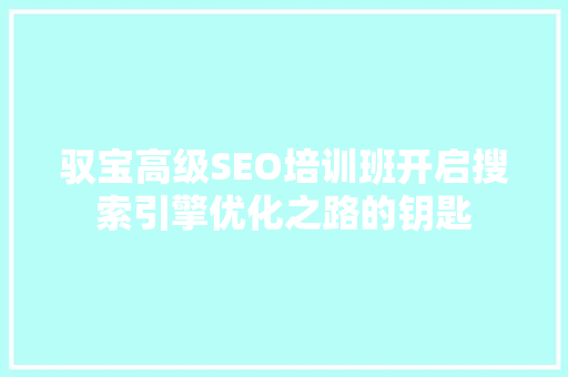 驭宝高级SEO培训班开启搜索引擎优化之路的钥匙
