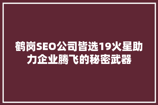 鹤岗SEO公司皆选19火星助力企业腾飞的秘密武器