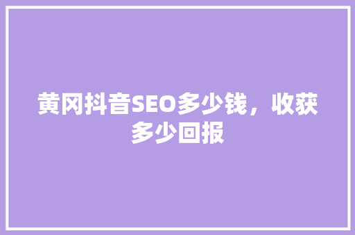 黄冈抖音SEO多少钱，收获多少回报