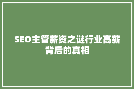 SEO主管薪资之谜行业高薪背后的真相