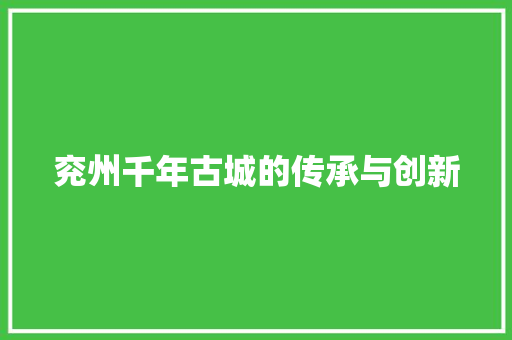 兖州千年古城的传承与创新