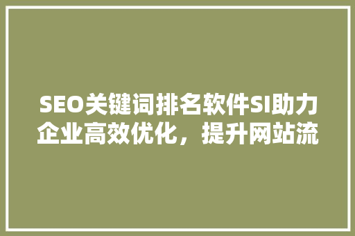 SEO关键词排名软件SI助力企业高效优化，提升网站流量与转化率  第1张
