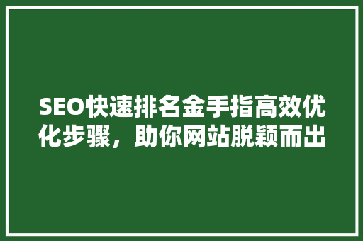 SEO快速排名金手指高效优化步骤，助你网站脱颖而出