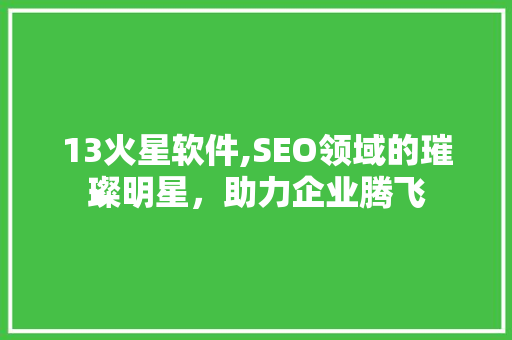13火星软件,SEO领域的璀璨明星，助力企业腾飞