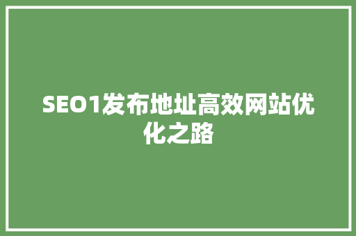 SEO1发布地址高效网站优化之路  第1张