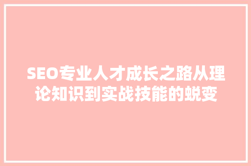 SEO专业人才成长之路从理论知识到实战技能的蜕变