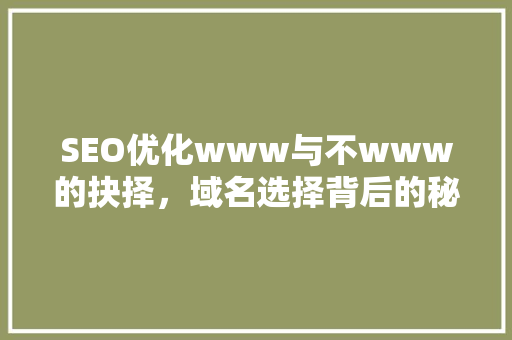 SEO优化www与不www的抉择，域名选择背后的秘密