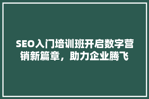 SEO入门培训班开启数字营销新篇章，助力企业腾飞