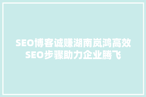 SEO博客诚赚湖南岚鸿高效SEO步骤助力企业腾飞