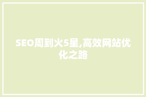 SEO周到火5星,高效网站优化之路
