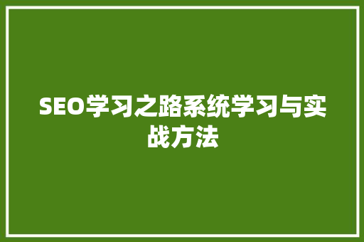 SEO学习之路系统学习与实战方法  第1张