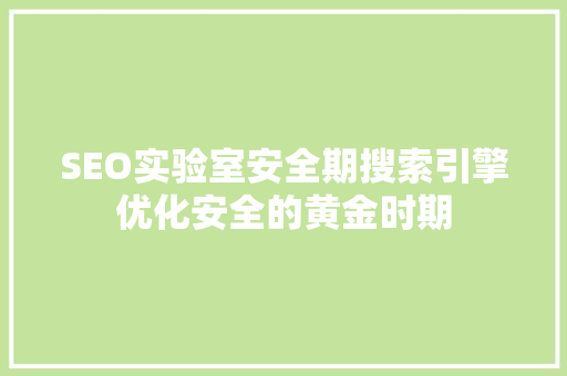 SEO实验室安全期搜索引擎优化安全的黄金时期