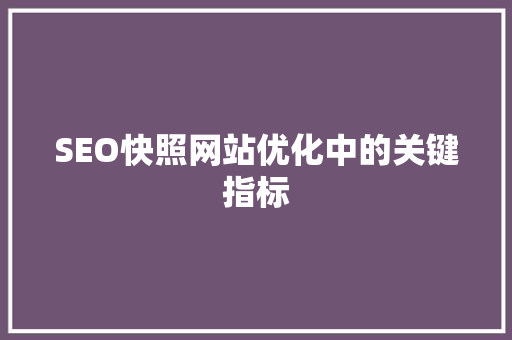 SEO快照网站优化中的关键指标