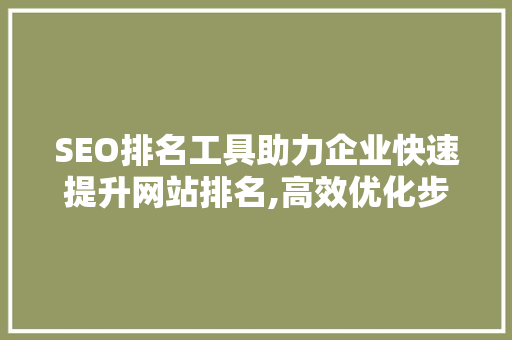 SEO排名工具助力企业快速提升网站排名,高效优化步骤