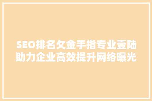 SEO排名攵金手指专业壹陆助力企业高效提升网络曝光度  第1张