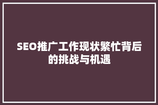 SEO推广工作现状繁忙背后的挑战与机遇