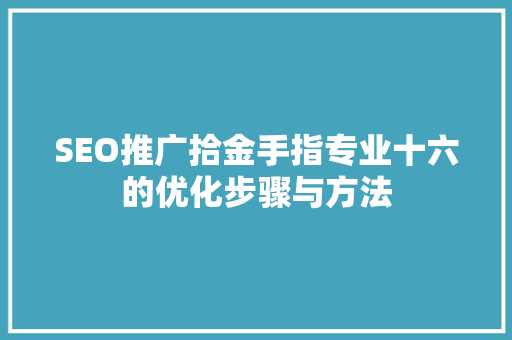 SEO推广拾金手指专业十六的优化步骤与方法
