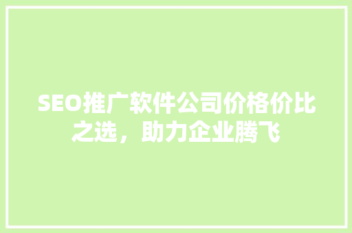 SEO推广软件公司价格价比之选，助力企业腾飞