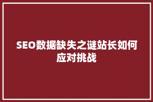 SEO数据缺失之谜站长如何应对挑战