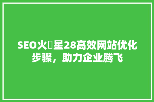 SEO火乚星28高效网站优化步骤，助力企业腾飞