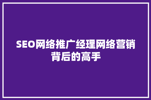 SEO网络推广经理网络营销背后的高手