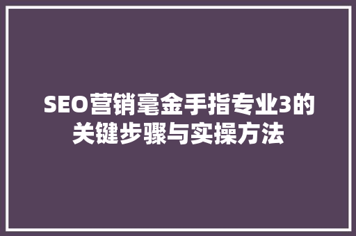 SEO营销毫金手指专业3的关键步骤与实操方法