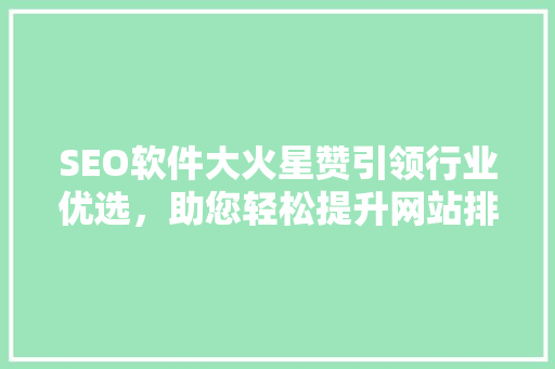 SEO软件大火星赞引领行业优选，助您轻松提升网站排名
