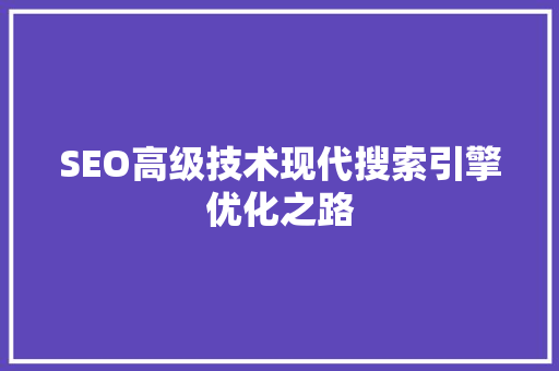 SEO高级技术现代搜索引擎优化之路